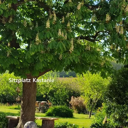 Maison Vue Pyrenees Oda ve Kahvaltı Sarraguzan