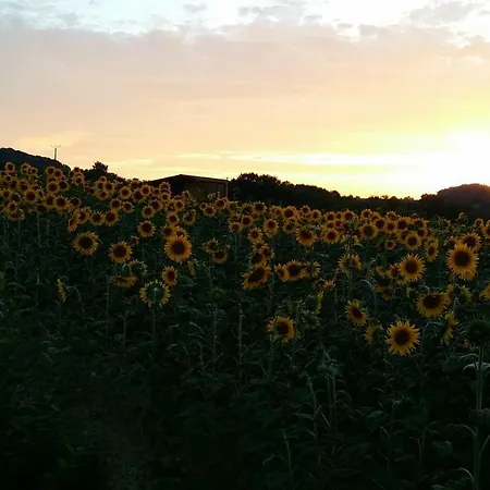 Maison Vue Pyrenees Oda ve Kahvaltı Sarraguzan
